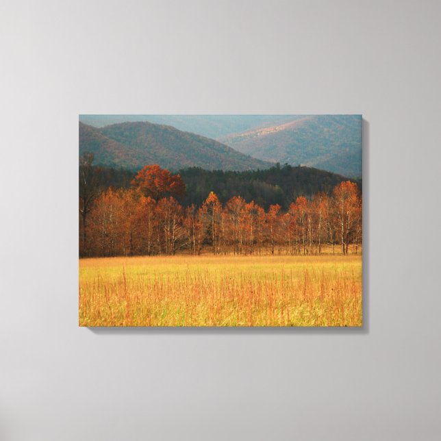USA, Tennessee. Cades Cove In Smoky Mountain Canvas Print (Front)