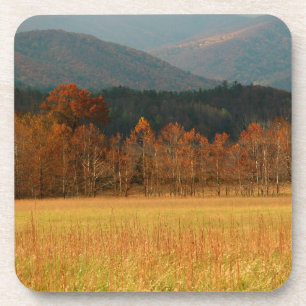 USA, Tennessee. Cades Cove In Smoky Mountain Coaster