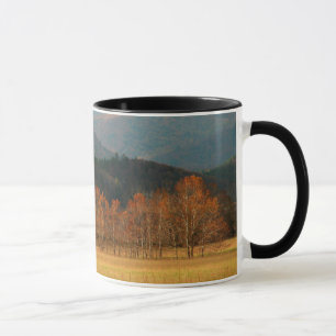 USA, Tennessee. Cades Cove In Smoky Mountain Mug
