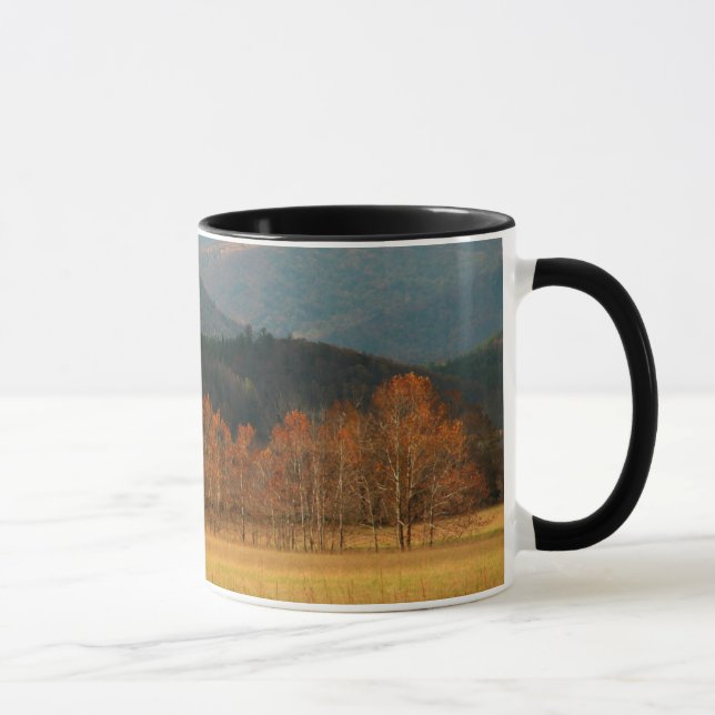 USA, Tennessee. Cades Cove In Smoky Mountain Mug (Right)