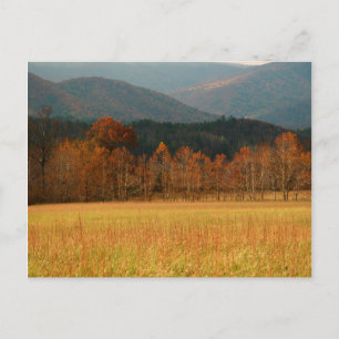USA, Tennessee. Cades Cove In Smoky Mountain Postcard