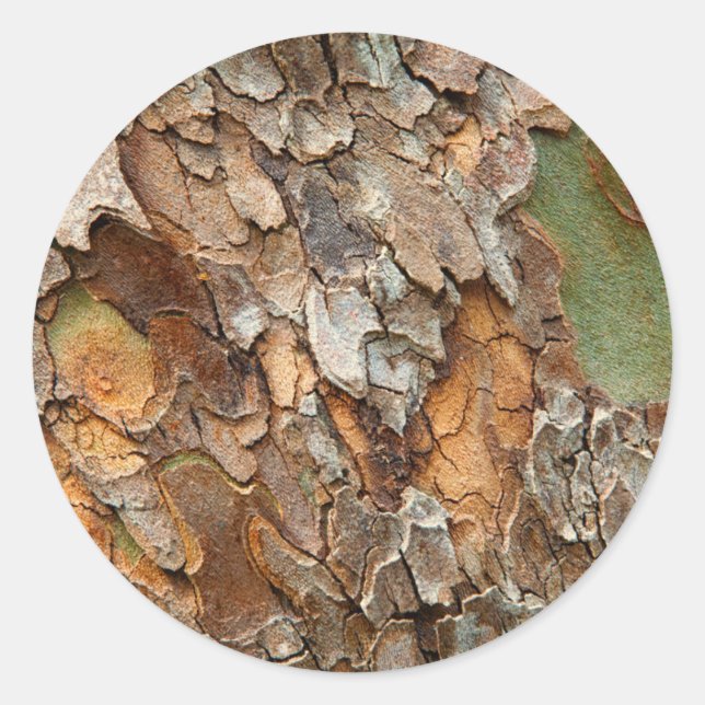 USA, Tennessee, Close Up Of Bark On A Tree Classic Round Sticker (Front)