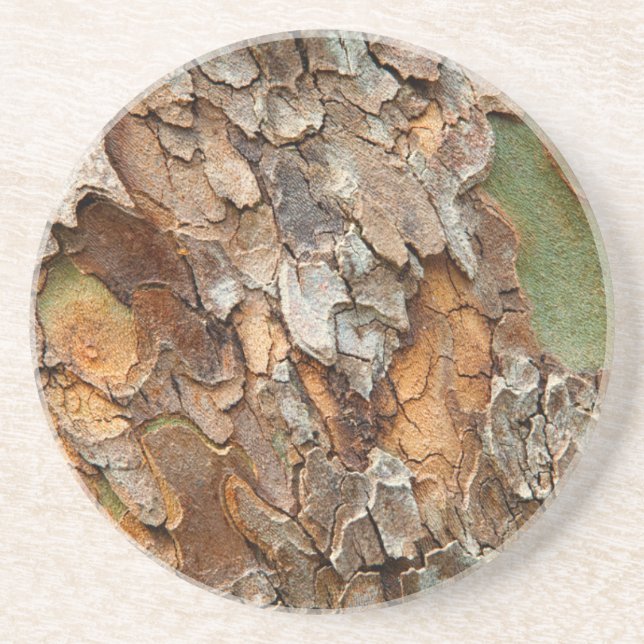 USA, Tennessee, Close Up Of Bark On A Tree Coaster (Front)