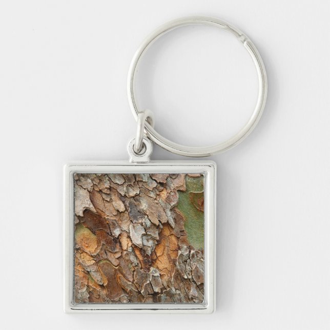 USA, Tennessee, Close Up Of Bark On A Tree Key Ring (Front)