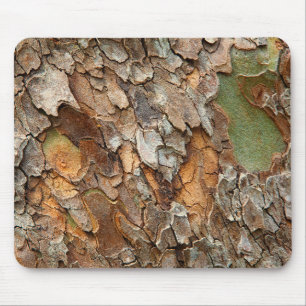 USA, Tennessee, Close Up Of Bark On A Tree Mouse Mat
