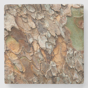 USA, Tennessee, Close Up Of Bark On A Tree Stone Coaster