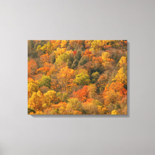 USA, Tennessee. Fall Foliage 2 Canvas Print