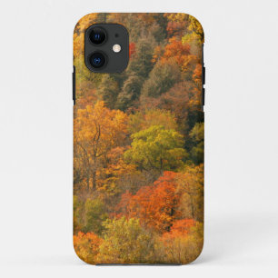 USA, Tennessee. Fall Foliage 2 iPhone 11 Case