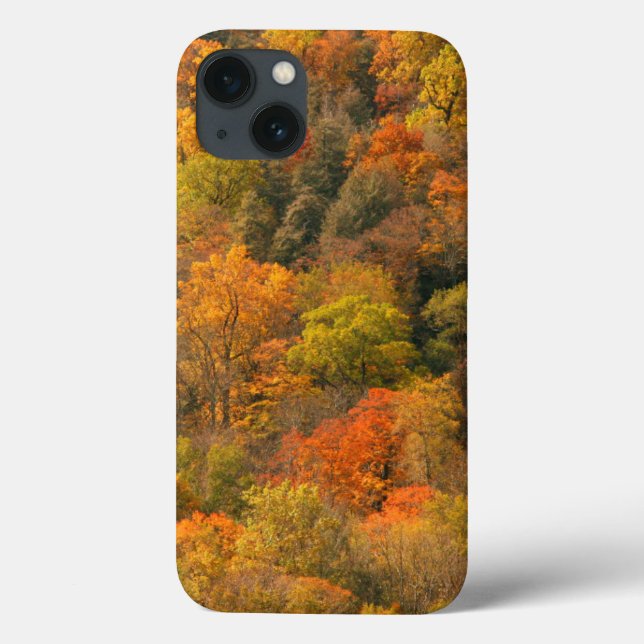 USA, Tennessee. Fall Foliage 2 Case-Mate iPhone Case (Back)