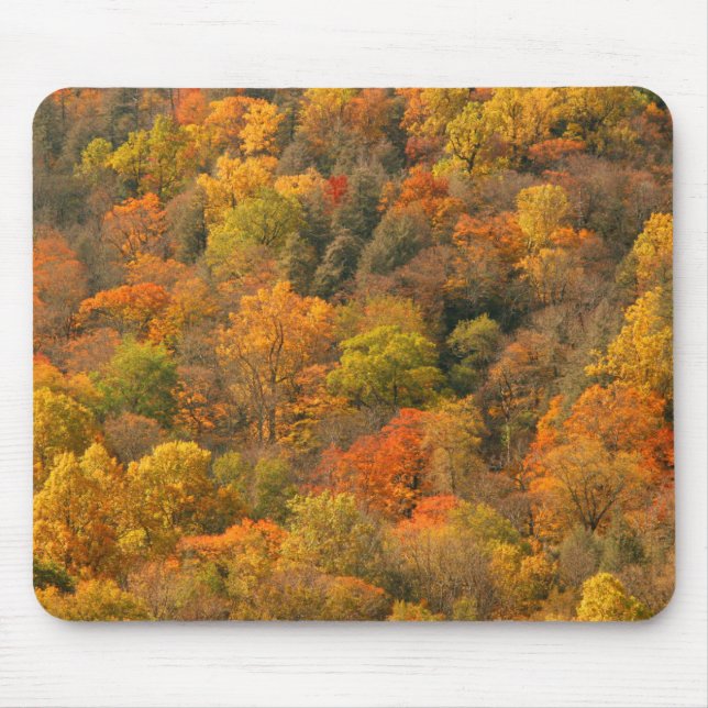 USA, Tennessee. Fall Foliage 2 Mouse Mat (Front)