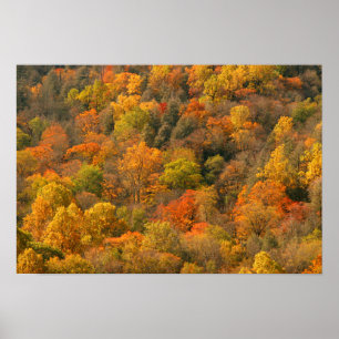 USA, Tennessee. Fall Foliage 2 Poster