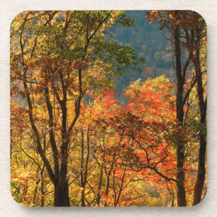 USA, Tennessee. Fall Foliage Coaster