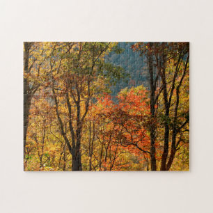 USA, Tennessee. Fall Foliage Jigsaw Puzzle