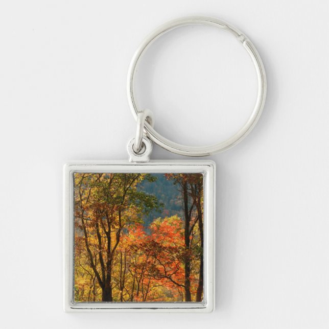 USA, Tennessee. Fall Foliage Key Ring (Front)