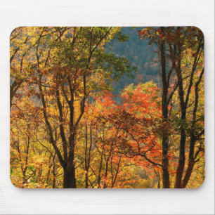USA, Tennessee. Fall Foliage Mouse Mat
