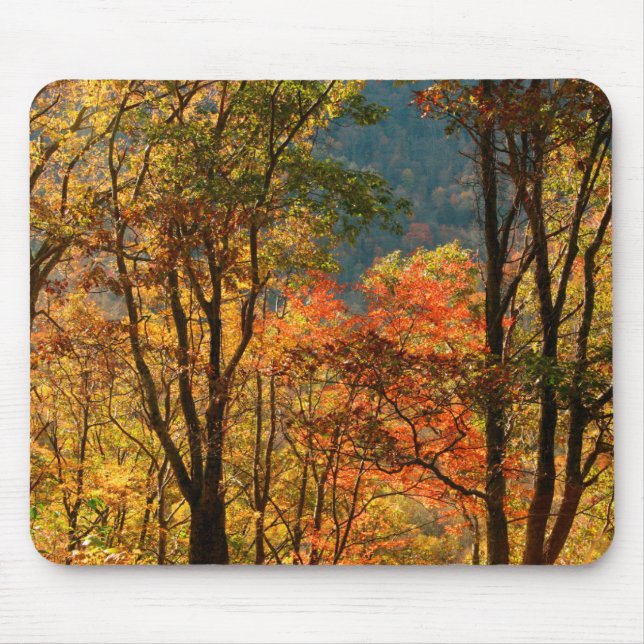 USA, Tennessee. Fall Foliage Mouse Mat (Front)