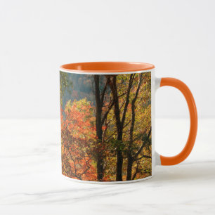 USA, Tennessee. Fall Foliage Mug