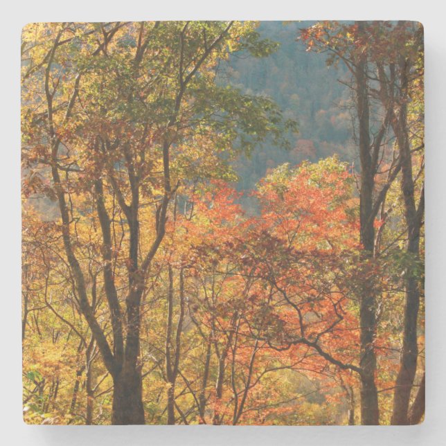 USA, Tennessee. Fall Foliage Stone Coaster (Front)