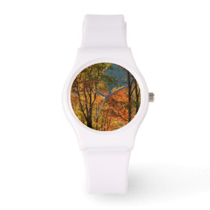 USA, Tennessee. Fall Foliage Watch