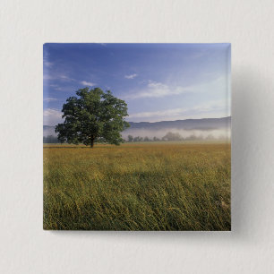 USA, Tennessee. Great Smokey Mountains 15 Cm Square Badge