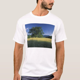 USA, Tennessee. Great Smokey Mountains 3 T-Shirt