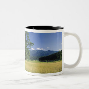 USA, Tennessee. Great Smokey Mountains 3 Two-Tone Coffee Mug