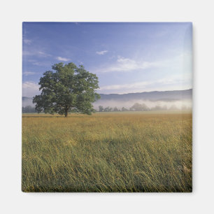 USA, Tennessee. Great Smokey Mountains Magnet