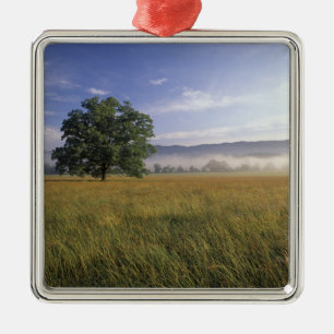 USA, Tennessee. Great Smokey Mountains Metal Tree Decoration