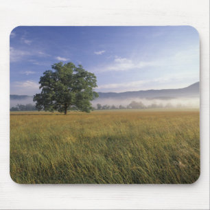 USA, Tennessee. Great Smokey Mountains Mouse Mat