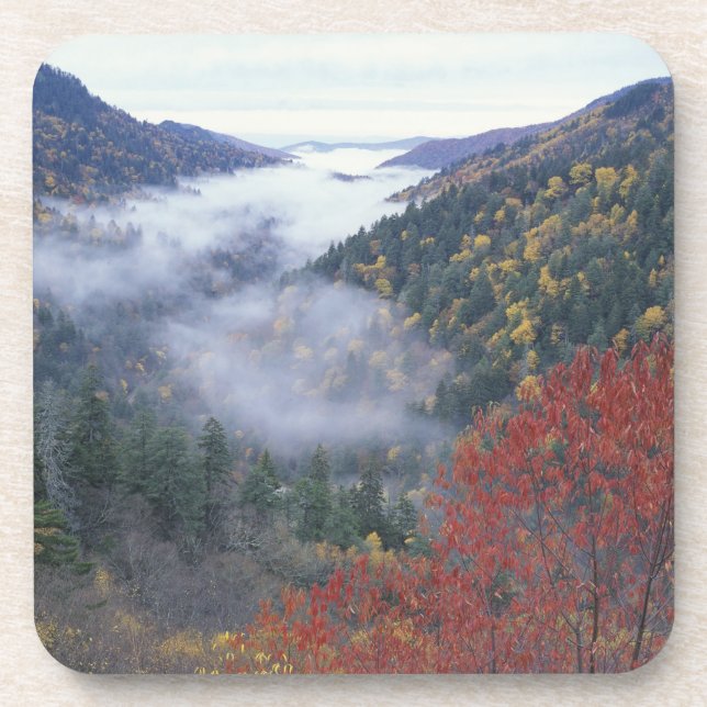 USA, Tennessee, Great Smokey Mountains National Coaster (Front)