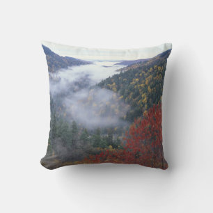 USA, Tennessee, Great Smokey Mountains National Cushion