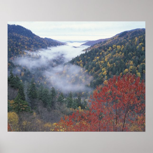 USA, Tennessee, Great Smokey Mountains National Poster (Front)