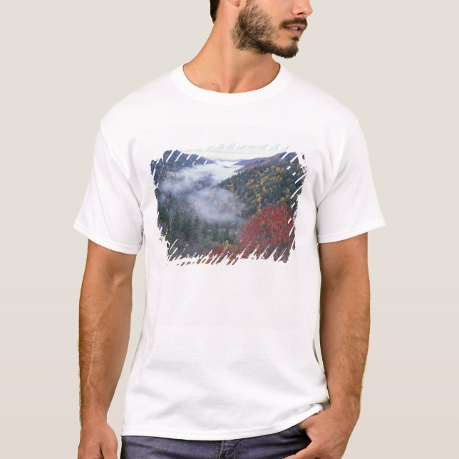 USA, Tennessee, Great Smokey Mountains National T-Shirt (Front)