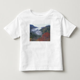USA, Tennessee, Great Smokey Mountains National Toddler T-Shirt