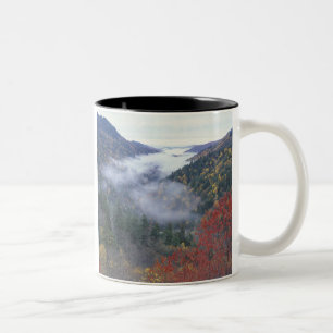 USA, Tennessee, Great Smokey Mountains National Two-Tone Coffee Mug