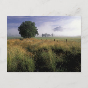 USA, Tennessee, Great Smokey Mountains Postcard