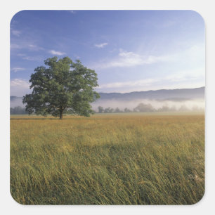 USA, Tennessee. Great Smokey Mountains Square Sticker