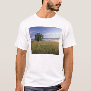 USA, Tennessee. Great Smokey Mountains T-Shirt
