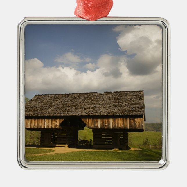 USA, Tennessee, Great Smoky Mountain NP. Metal Tree Decoration (Front)