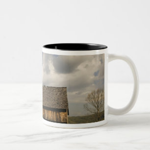USA, Tennessee, Great Smoky Mountain NP. Two-Tone Coffee Mug