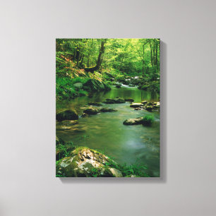 USA, Tennessee, Great Smoky Mountains Canvas Print