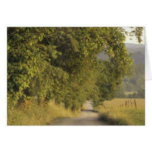 USA, Tennessee, Great Smoky Mountains National 2