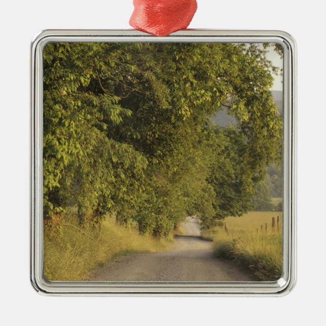 USA, Tennessee, Great Smoky Mountains National 2 Metal Tree Decoration (Front)