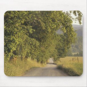 USA, Tennessee, Great Smoky Mountains National 2 Mouse Mat