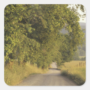 USA, Tennessee, Great Smoky Mountains National 2 Square Sticker