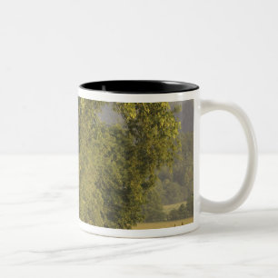 USA, Tennessee, Great Smoky Mountains National 2 Two-Tone Coffee Mug
