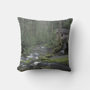 USA, Tennessee, Great Smoky Mountains National 3 Cushion