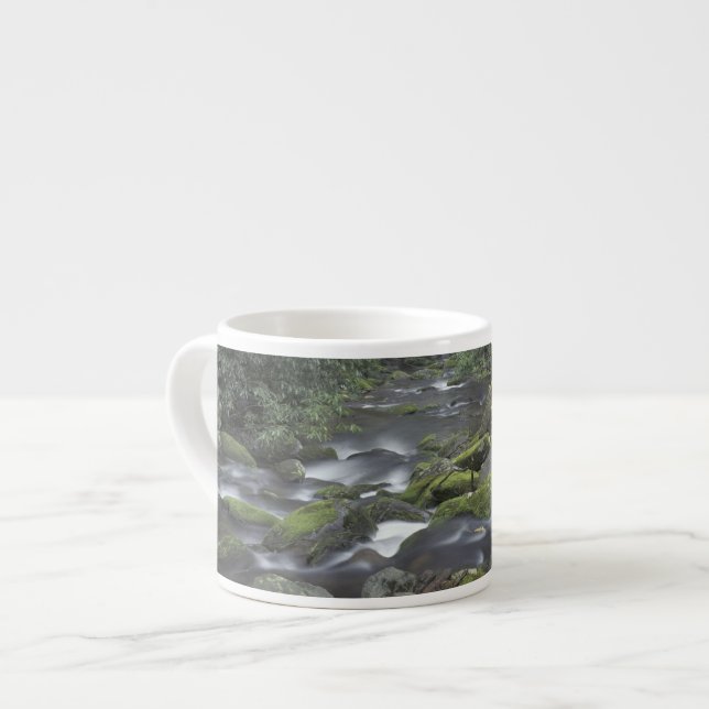 USA, Tennessee, Great Smoky Mountains National 3 Espresso Cup (Front Left)