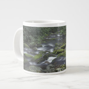 USA, Tennessee, Great Smoky Mountains National 3 Large Coffee Mug
