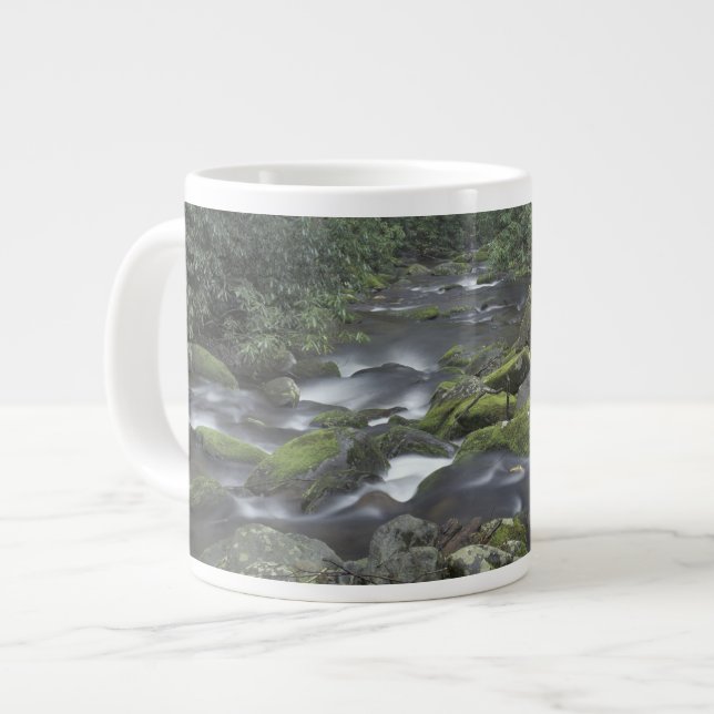 USA, Tennessee, Great Smoky Mountains National 3 Large Coffee Mug (Front Left)